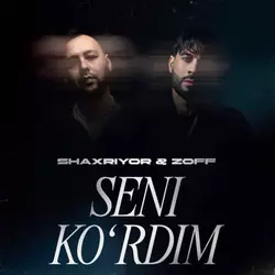 Shaxriyor - Seni ko'rdim (remix)